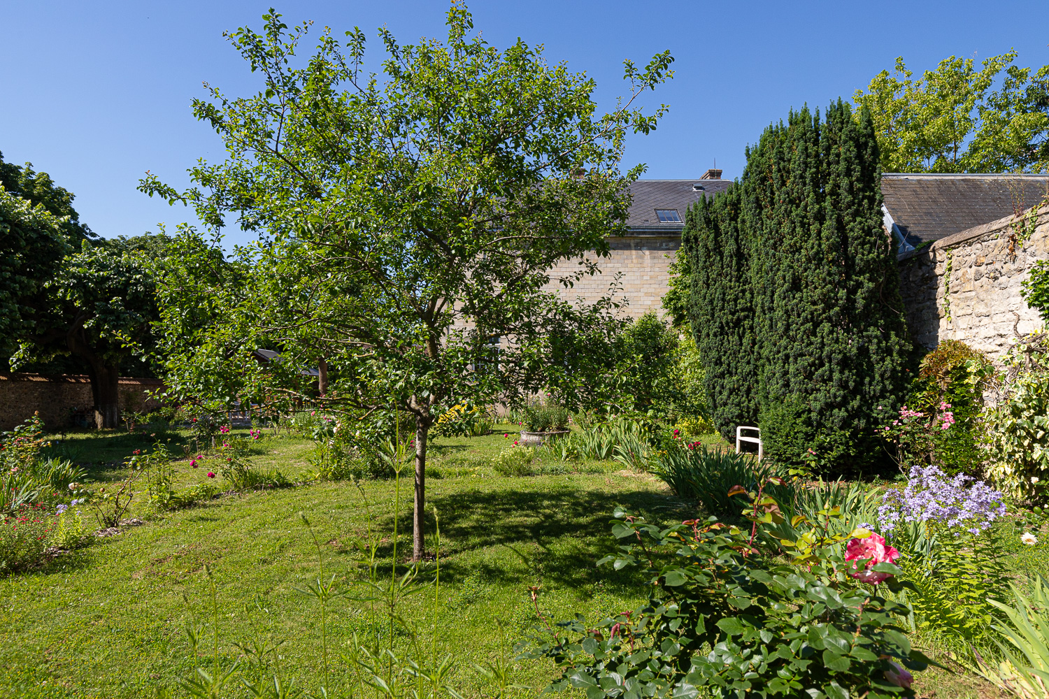 Végétalisation Jardin