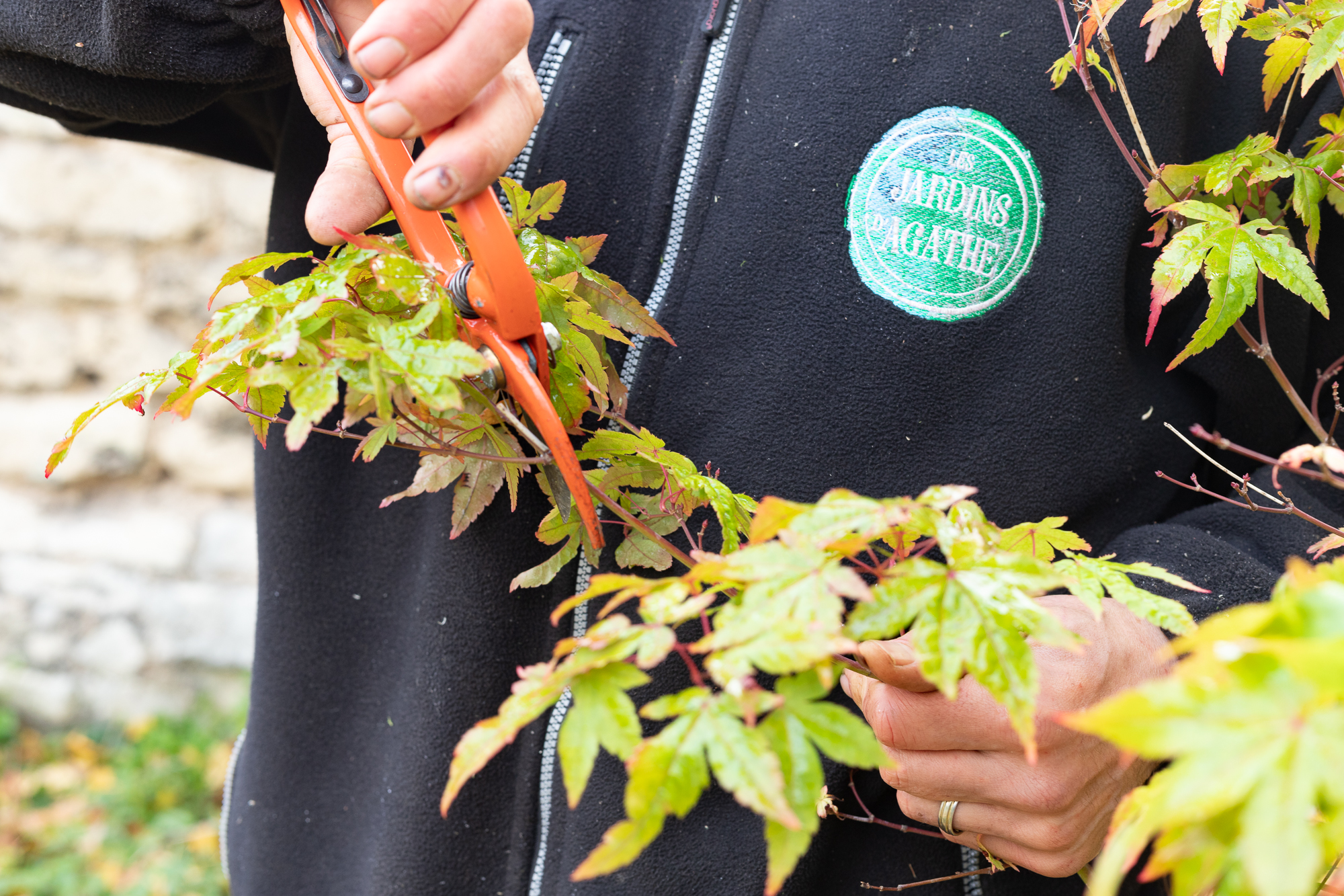 Entretien de jardins pour particuliers